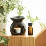 Guida agli oli essenziali: cosa sono, come funzionano e benefici