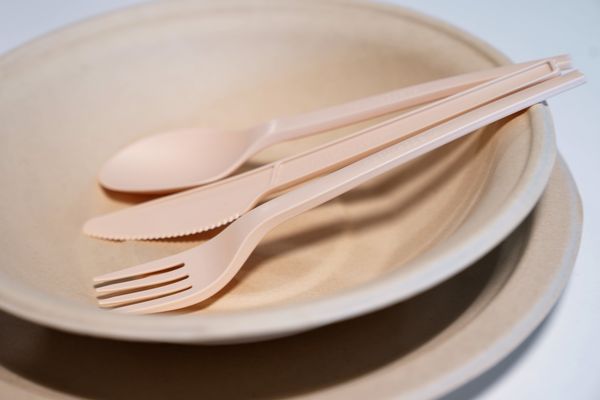 Ecopiatti: perché iniziare a utilizzarli nel proprio bar o ristorante