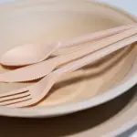 Ecopiatti: perché iniziare a utilizzarli nel proprio bar o ristorante