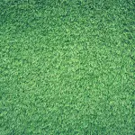 Tutti I vantaggi dell’utilizzo di una pompa irroratrice a batteria